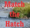 Match the Hatch Collection Packs